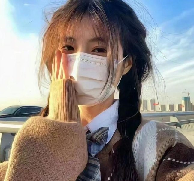 蝙蝠侠：神秘的女蝙蝠侠